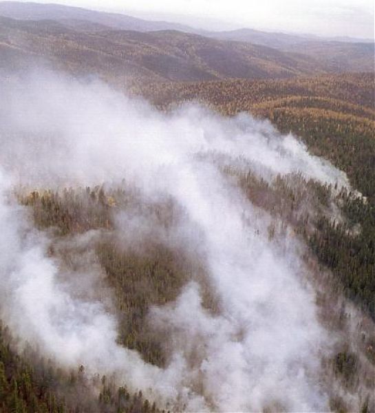 В Иркутской области принято решение не тушить два крупных лесных пожара
