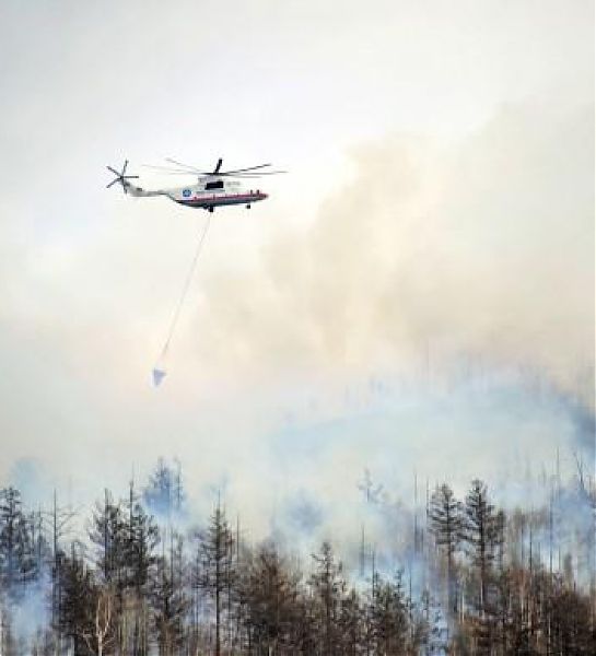 Площадь лесных пожаров в Забайкальском крае выросла в три раза