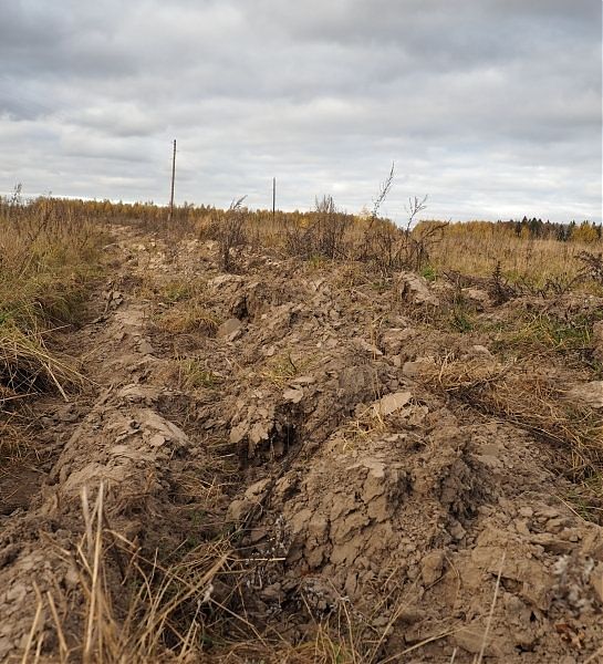 На Алтае осложнилась ситуация с сельхозпалами из-за невостребованности земель