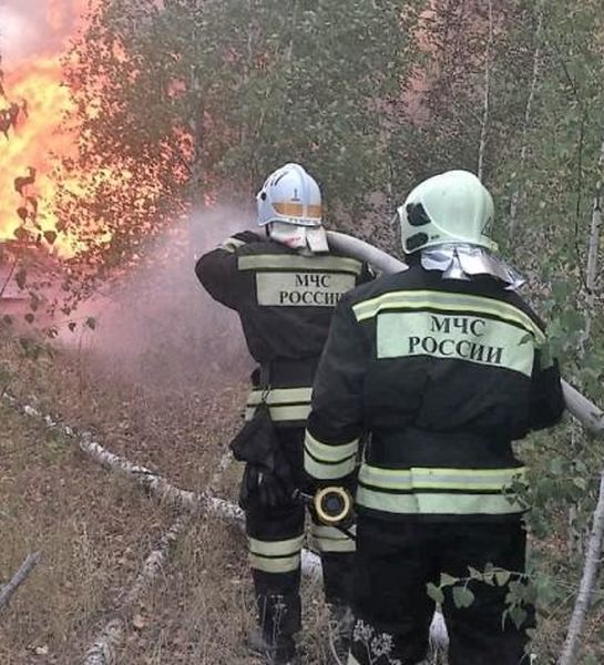 Под Воронежем на территории военного полигона пожарные ликвидируют крупный пожар
