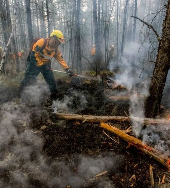Пропали двое пожарных при тушении лесных пожаров в Приамурье