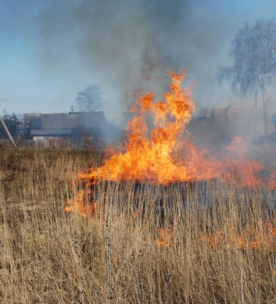 В первые два месяца 2018 года в Приморье зафиксировано почти 500 возгораний