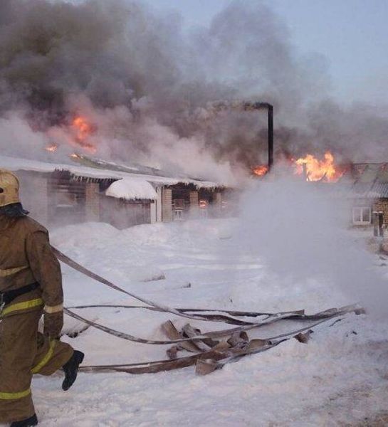 Сотни свиней сгорели на пожаре в Архангельской области