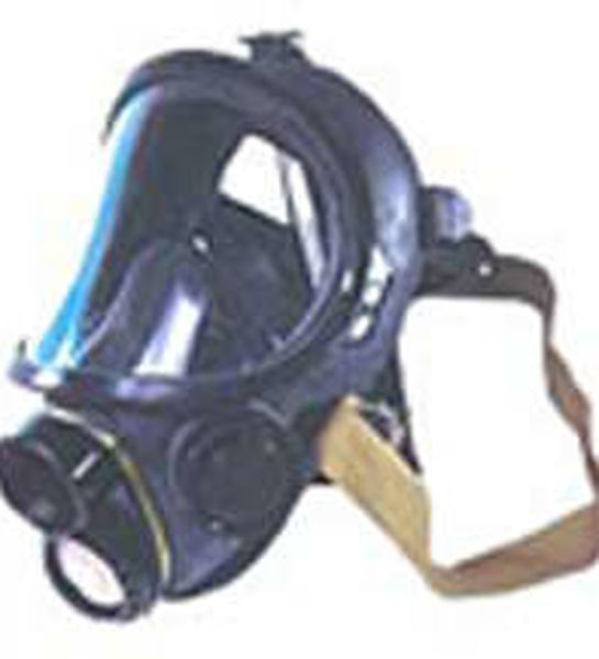 Шлем-маска панорамная ППМ-88 (Бриз-4301)