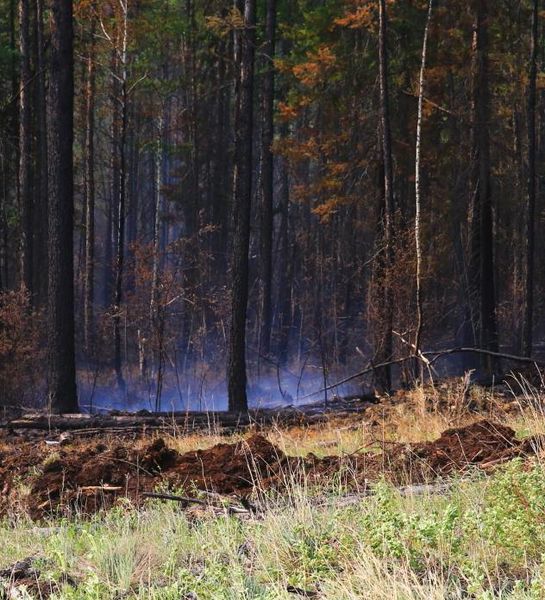 Губернатор Иркутской области попросил у Шойгу помощи в борьбе с лесными пожарами на землях Министерства обороны