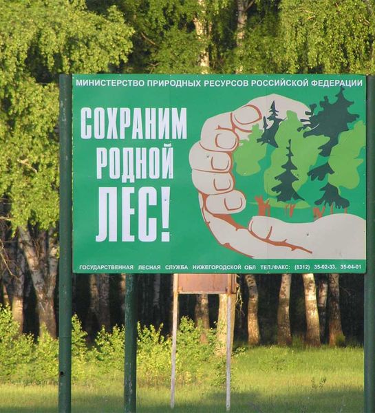 В Госдуме одобрили изменения законодательства в части охраны лесов от пожаров