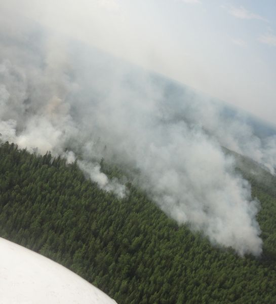 В Иркутской области отмечают снижение числа пожаров в лесном фонде по сравнению со среднепятилетним показателем