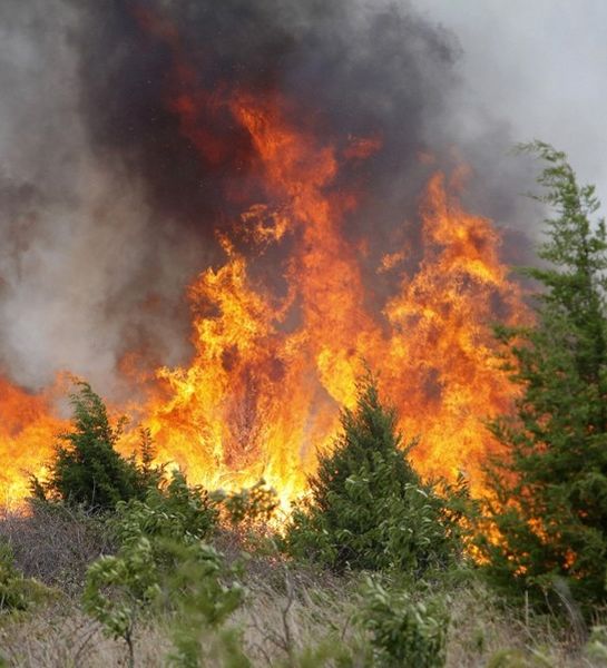 В Республике Бурятия составлен «Черный список» собственников земель, на которых действуют природные пожары