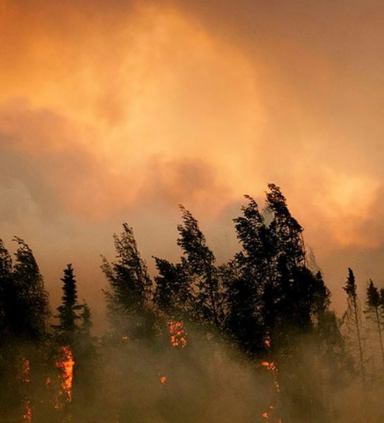 В ближайшие пять дней в Новосибирской области ожидается чрезвычайно высокая пожароопасность