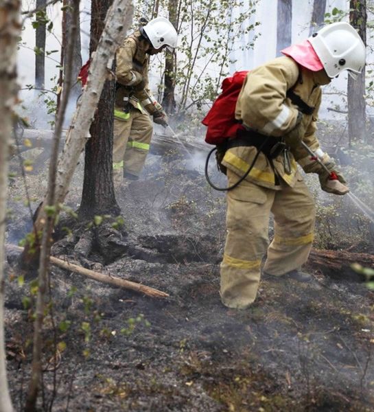 С начала пожароопасного периода иркутские пожарные возбудили 13 уголовных дел по фактам природных пожаров