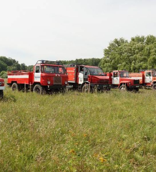 В Тамбовской области готовят сводный план тушения лесных пожаров