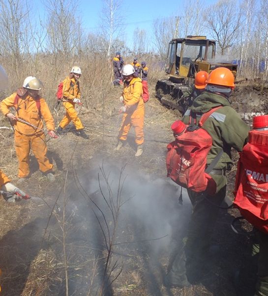 Учения по тушению лесных пожаров с применением авиации прошли в Хабаровском крае