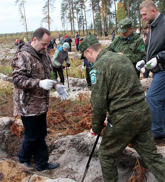 Губернатор Кемеровской области призывает сажать новое дерево взамен каждого пострадавшего при пожаре