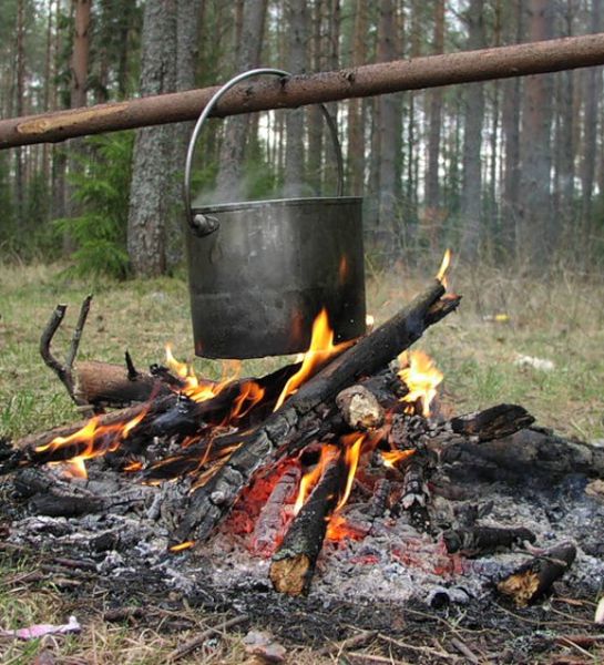Пожароопасный сезон в Мурманской области наступит через месяц