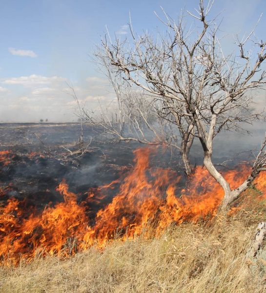 Специалисты отмечают оперативность обнаружения природных пожаров в Амурской области