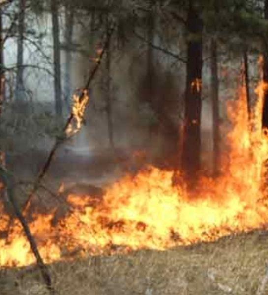 Штрафы за нарушение правил пожарной безопасности в Иркутской области увеличены вдвое