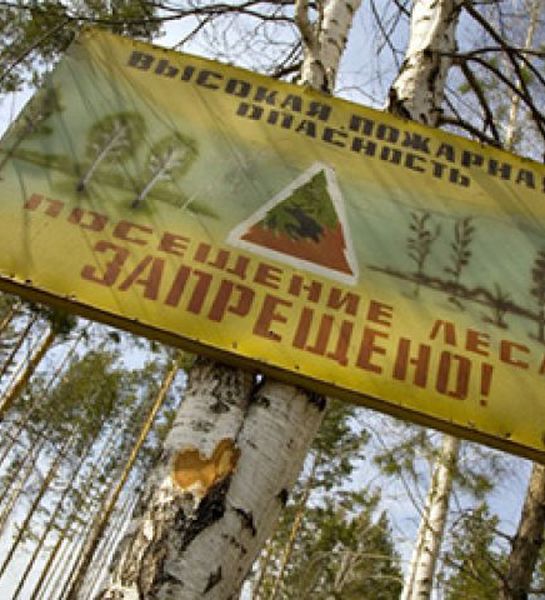 В отдельных районах Республики Беларусь продолжают действовать запреты на посещение лесов