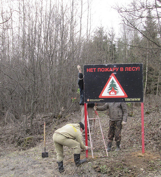 В Бородинском филиале ГАУ МО «Центрлесхоз» выполнены работы по противопожарному обустройству лесов