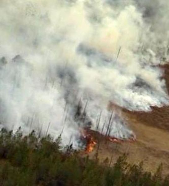 В Красноярском крае продолжают выявлять виновников лесных пожаров