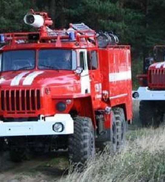 В Томаринском районе Сахалинской области выявлены нарушения законодательства по охране лесов от пожаров