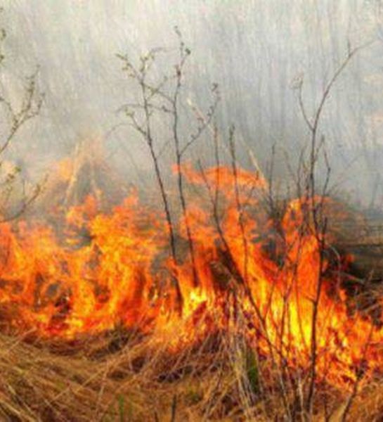 Администрация Волгограда призывает жителей быть ответственным при обращении с огнем