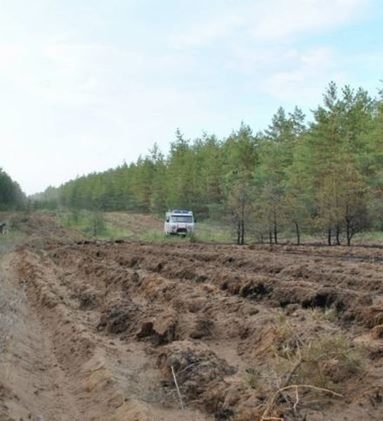 В Костромской области проводят опашку территорий и проверку состояния водоемов.
