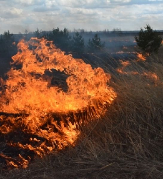 Соблюдение правил пожарной безопасности со стороны жителей Тверской области