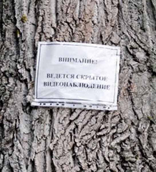 В лесах Борисова установлены видеокамеры, фиксирующие нарушения пожарной безопасности